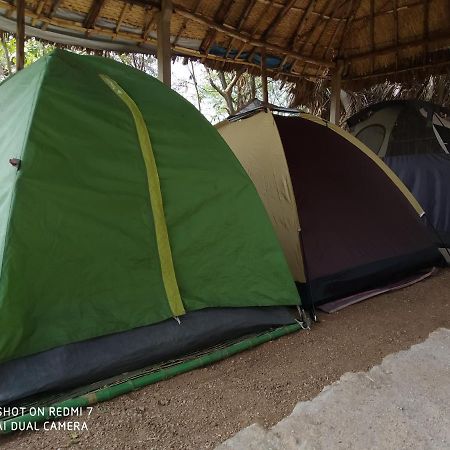 Hotel Drunken Monkey Camping Site Hampi Exteriér fotografie