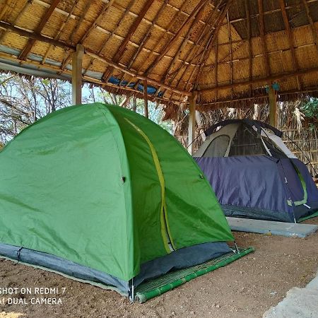 Hotel Drunken Monkey Camping Site Hampi Exteriér fotografie
